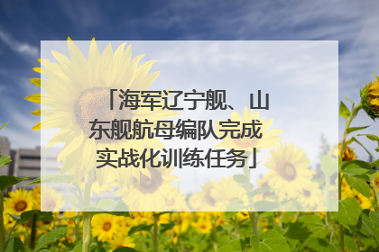 海军辽宁舰、山东舰航母编队完成实战化训练任务