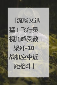 流畅又迅猛！飞行员视角感受数架歼-10战机空中近距格斗