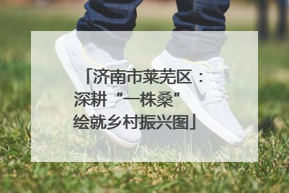 济南市莱芜区：深耕“一株桑” 绘就乡村振兴图