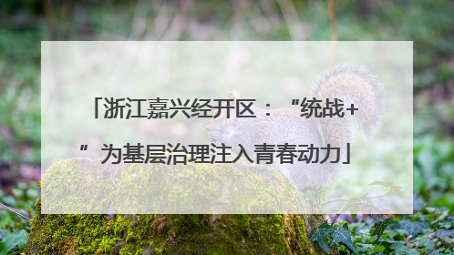 浙江嘉兴经开区：“统战+”为基层治理注入青春动力