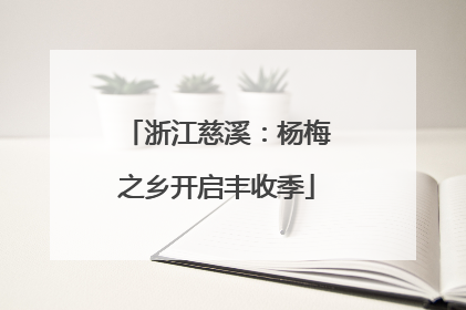 浙江慈溪：杨梅之乡开启丰收季