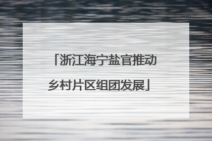 浙江海宁盐官推动乡村片区组团发展