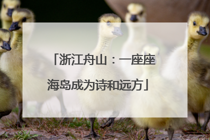 浙江舟山：一座座海岛成为诗和远方