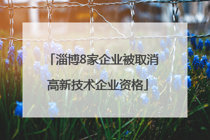 淄博8家企业被取消高新技术企业资格