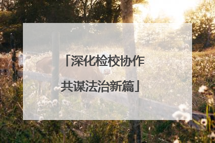 深化检校协作 共谋法治新篇