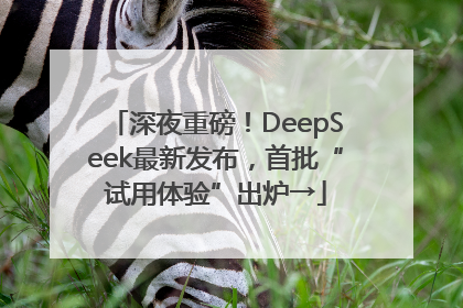 深夜重磅！DeepSeek最新发布，首批“试用体验”出炉→