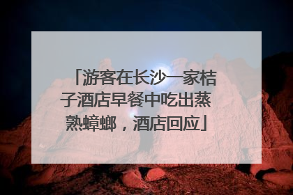 游客在长沙一家桔子酒店早餐中吃出蒸熟蟑螂，酒店回应