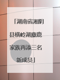 湖南省湘阴县横岭湖麋鹿家族再添三名新成员