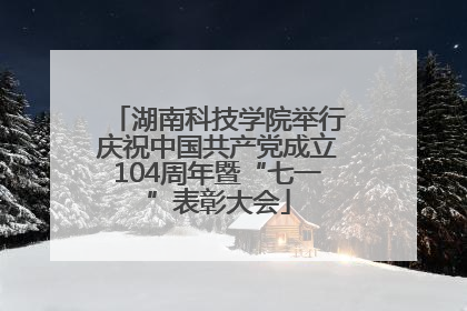 湖南科技学院举行庆祝中国共产党成立104周年暨“七一”表彰大会