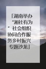 湖南举办“湘社有为”社会组织协同合作服务乡村振兴专题沙龙