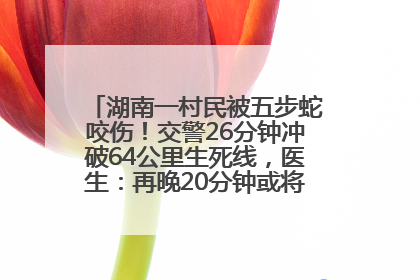 湖南一村民被五步蛇咬伤！交警26分钟冲破64公里生死线，医生：再晚20分钟或将呼吸肌麻痹