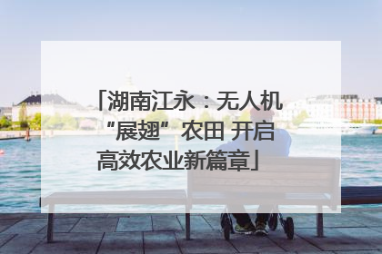 湖南江永：无人机“展翅”农田 开启高效农业新篇章