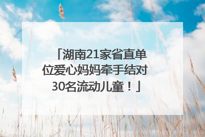 湖南21家省直单位爱心妈妈牵手结对30名流动儿童！
