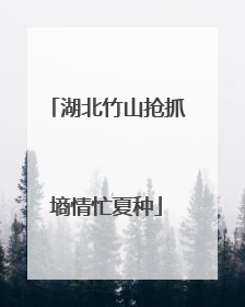 湖北竹山抢抓墒情忙夏种