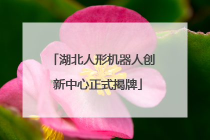 湖北人形机器人创新中心正式揭牌
