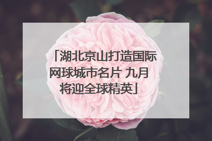 湖北京山打造国际网球城市名片 九月将迎全球精英