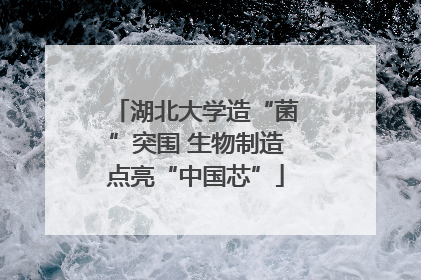 湖北大学造“菌”突围 生物制造点亮“中国芯”