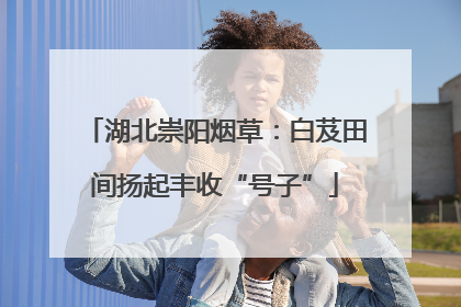 湖北崇阳烟草：白芨田间扬起丰收“号子”