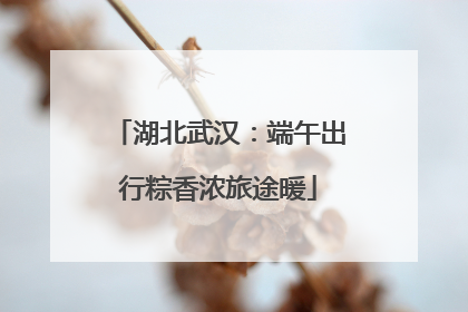 湖北武汉：端午出行粽香浓旅途暖