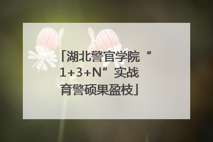 湖北警官学院“1+3+N”实战育警硕果盈枝