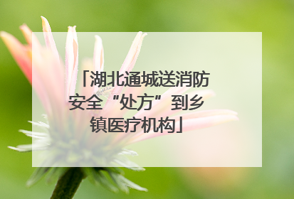 湖北通城送消防安全“处方”到乡镇医疗机构