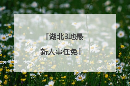 湖北3地最新人事任免