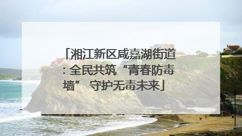 湘江新区咸嘉湖街道：全民共筑“青春防毒墙” 守护无毒未来