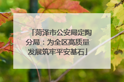 菏泽市公安局定陶分局：为全区高质量发展筑牢平安基石