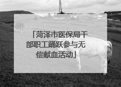 菏泽市医保局干部职工踊跃参与无偿献血活动