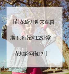 荷花盛开迎来观赏期！济南这12处赏花地你可知？