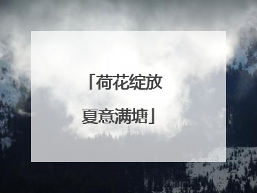 荷花绽放 夏意满塘