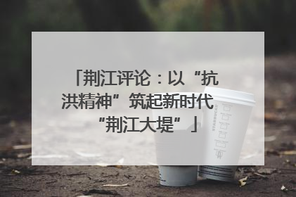 荆江评论：以“抗洪精神”筑起新时代“荆江大堤”