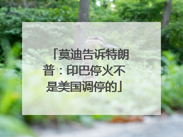 莫迪告诉特朗普：印巴停火不是美国调停的