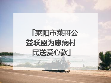 莱阳市菜哥公益联盟为患病村民送爱心款