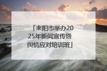 耒阳市举办2025年新闻宣传暨舆情应对培训班