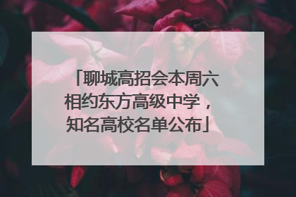 聊城高招会本周六相约东方高级中学，知名高校名单公布
