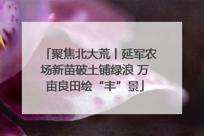 聚焦北大荒丨延军农场新苗破土铺绿浪 万亩良田绘“丰”景