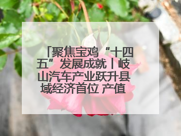 聚焦宝鸡“十四五”发展成就丨岐山汽车产业跃升县域经济首位 产值突破205亿 占规上工业75%