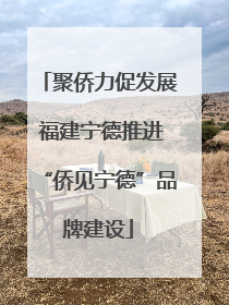 聚侨力促发展 福建宁德推进“侨见宁德”品牌建设