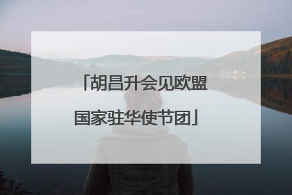 胡昌升会见欧盟国家驻华使节团