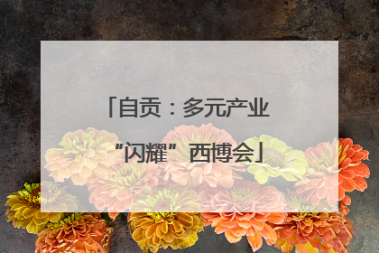 自贡：多元产业“闪耀”西博会