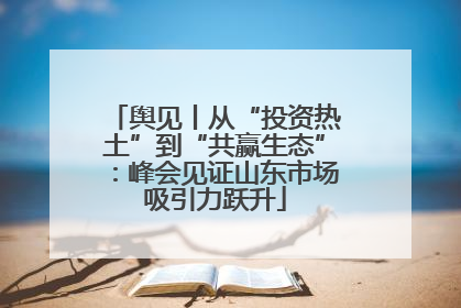 舆见丨从“投资热土”到“共赢生态”：峰会见证山东市场吸引力跃升