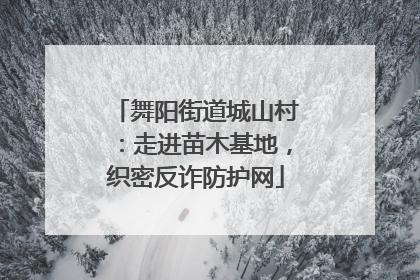 舞阳街道城山村：走进苗木基地，织密反诈防护网