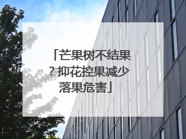 芒果树不结果？抑花控果减少落果危害