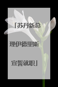苏丹新总理伊德里斯宣誓就职