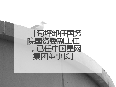 苟坪卸任国务院国资委副主任，已任中国星网集团董事长