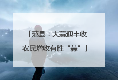 范县：大蒜迎丰收 农民增收有胜“蒜”