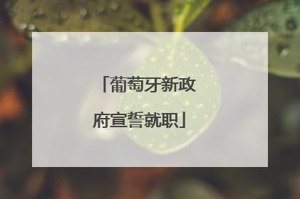 葡萄牙新政府宣誓就职