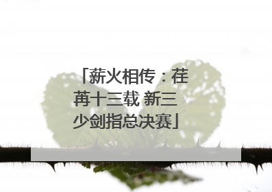 薪火相传：荏苒十三载 新三少剑指总决赛