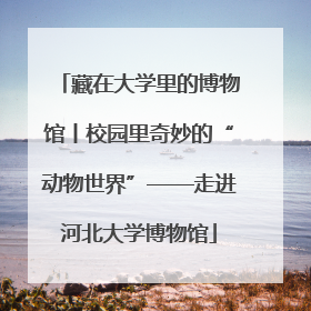 藏在大学里的博物馆丨校园里奇妙的“动物世界”——走进河北大学博物馆